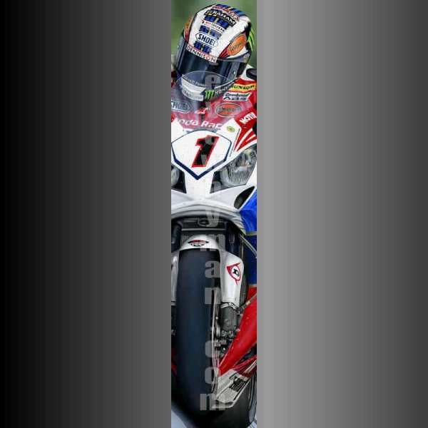 John McGuinness slimpic