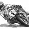 Carl Fogarty WSB