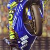 Valentino Rossi 2004 legon