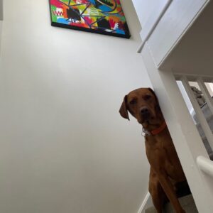 Alison - Artwork under Guard